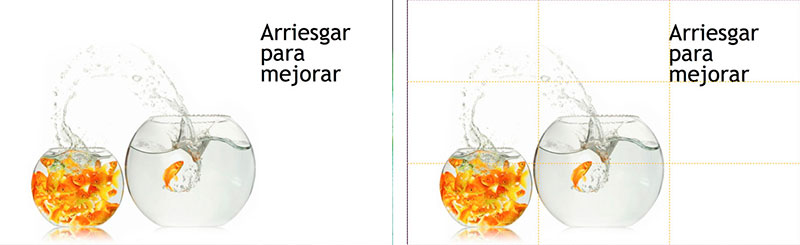estructura3
