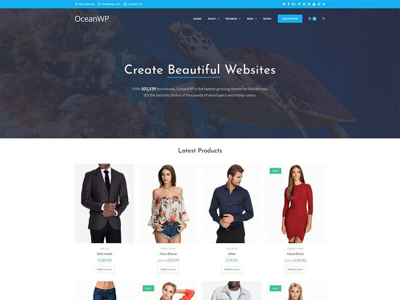oceanwp wordpress
